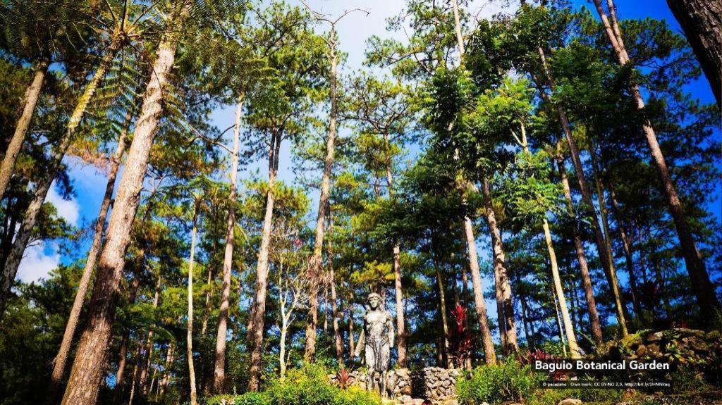 Zen Rooms Venus Parkview Baguio Baguio City Екстериор снимка